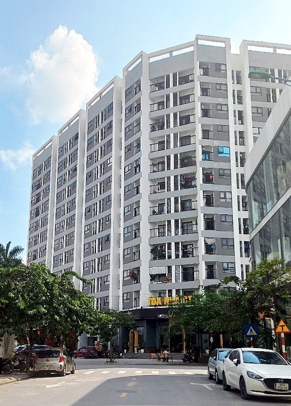 Dự án nhà ở xã hội Lạc Hồng Phúc cũng đã bị Thanh tra Chính phủ chỉ ra vi phạm.