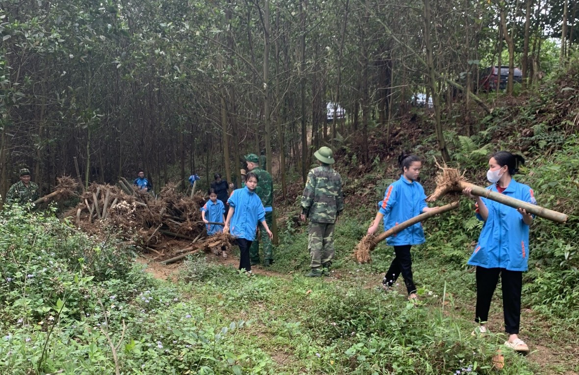 Quảng Ninh: Một dải biên cương xanh