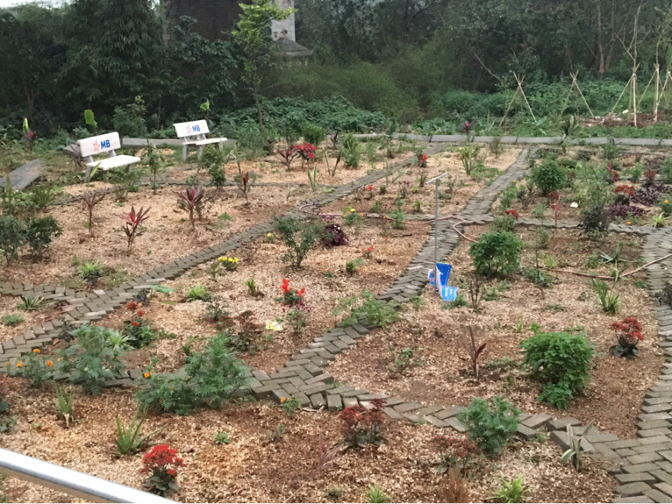  Những hạng mục khác nhằm tăng cường hệ sinh thái của công viên Phúc Tân cũng đang dần được hoàn thiện