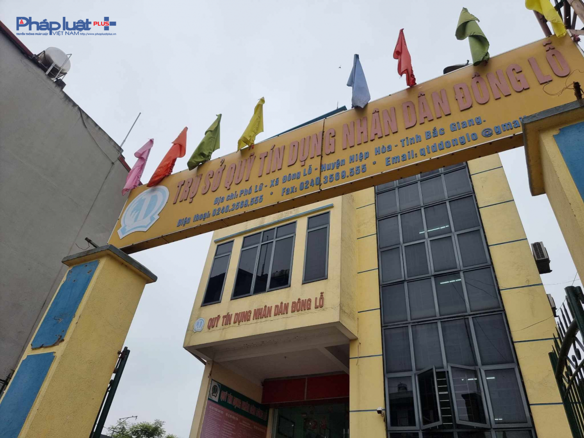 Quỹ tín dụng nhân dân Đông Lỗ. Quỹ tín dụng nhân dân Đông Lỗ.