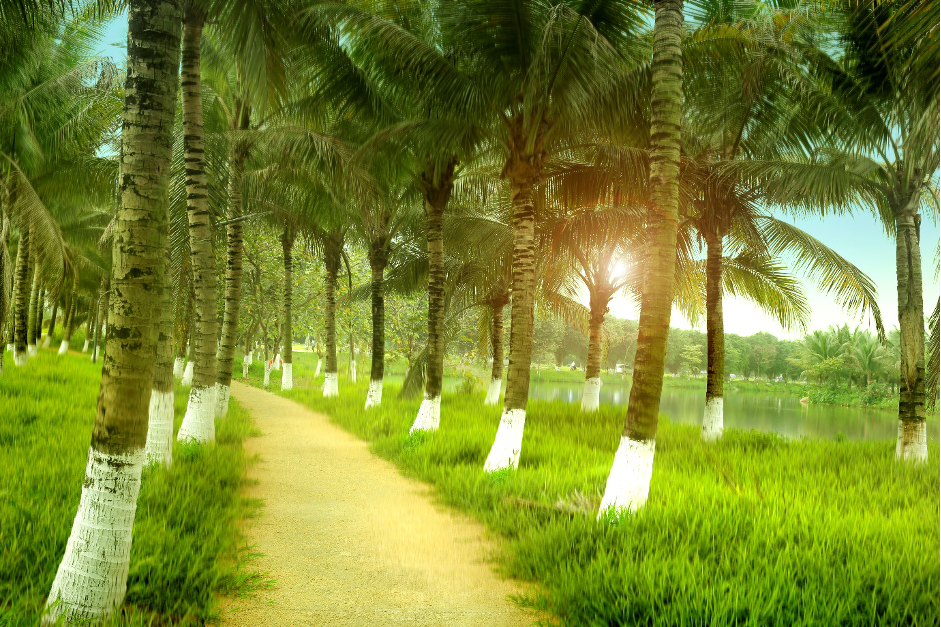 “Phải lòng” Ecopark