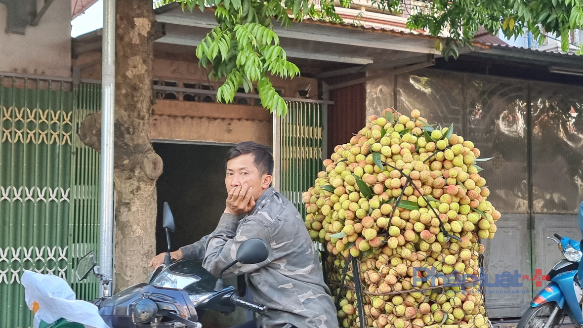 Vải sớm tại Bắc Giang có giá cao nhất 70 nghìn đồng/kg