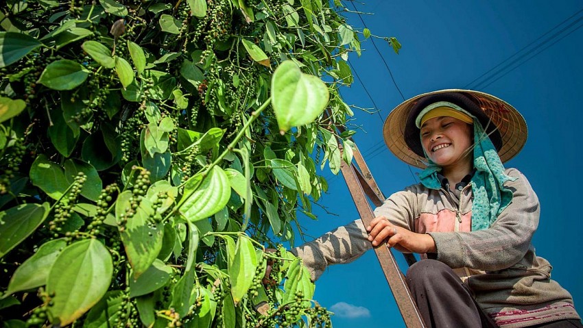 saomaitravel_ hattieu3 saomaitravel_ hattieu3