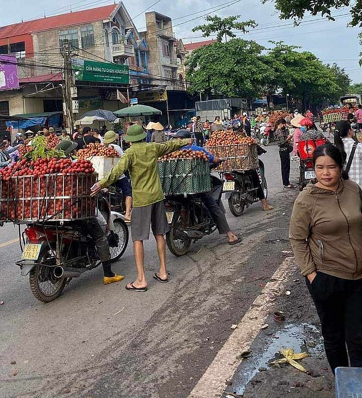 Giá vải thiều Bắc Giang lên tới 85.000 đồng/kg, cao nhất mọi thời đại