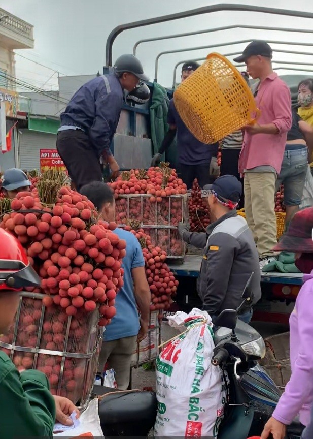 Giá vải thiều Bắc Giang lên tới 85.000 đồng/kg, cao nhất mọi thời đại