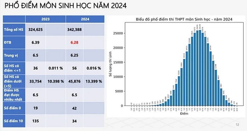 Phổ điểm thi tốt nghiệp THPT 2024: Hơn 10.800 bài thi đạt điểm 10