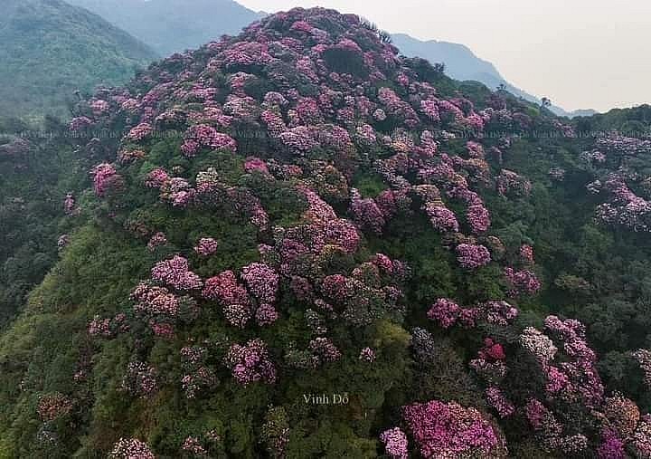 Hẹn nhau ở 'thiên đường mây' Tà Xùa