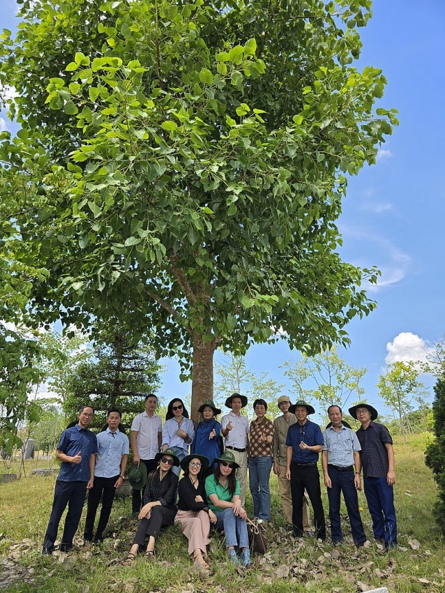 Các thành viên Đoàn công tác Báo Pháp luật Việt Nam tại cây bồ đề lưu niệm của Báo PLVN tại Ngã ba Đồng Lộc. (Ảnh: K.P)