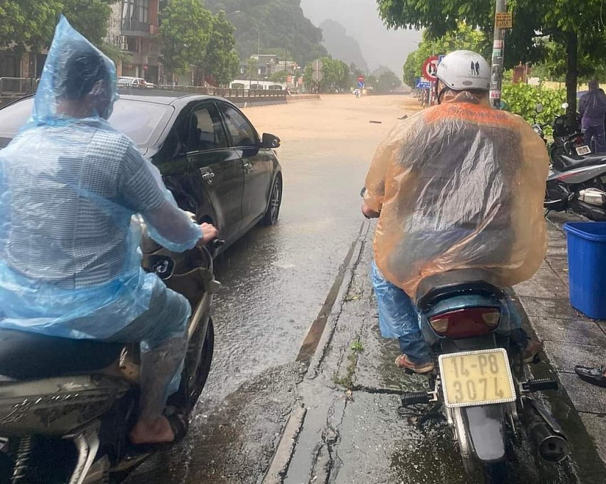 Quảng Ninh: Hàng loạt cây xanh bị "quật ngã", nhiều tuyến đường ngập lụt khi bão số 2 đổ bộ