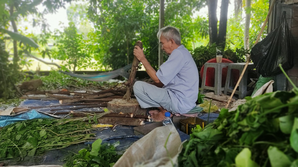 Dù đã ngoài 80 tuổi, nhưng ông Năm dồi vẫn ngày ngày bốc thuốc chữa bệnh giúp người.