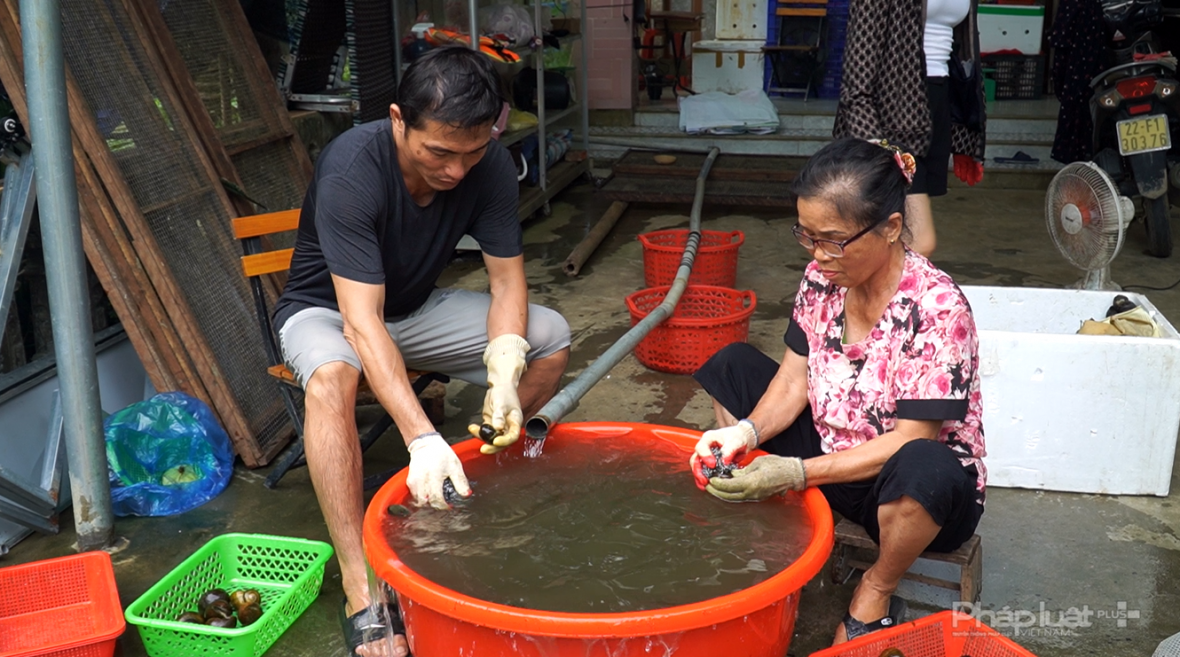 Tuyên Quang: Huyện Chiêm Hóa nâng cao chất lượng hàng hóa nông sản