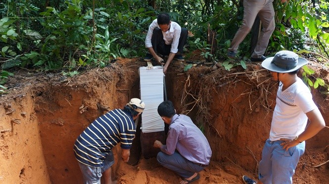 Triển khai Đề án "Nâng cao sức khỏe đất và quản lý dinh dưỡng cây trồng"