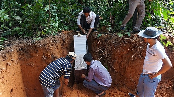 Hội nghị triển khai Đề án "Nâng cao sức khỏe đất và quản lý dinh dưỡng cây trồng"