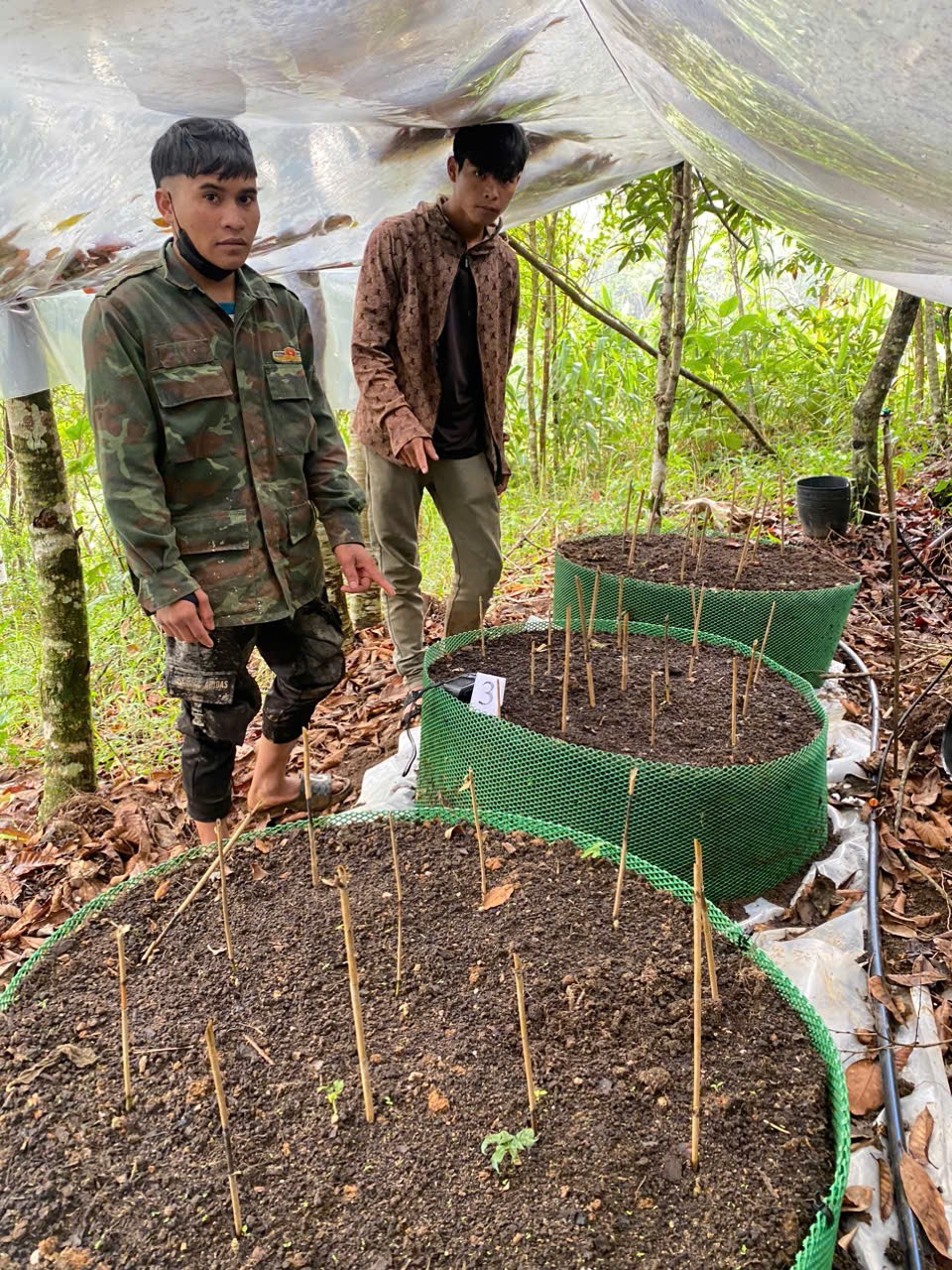 Kon Tum: Khen thưởng tập thể và cá nhân đã có thành tích bắt đối tượng trộm sâm Ngọc Linh