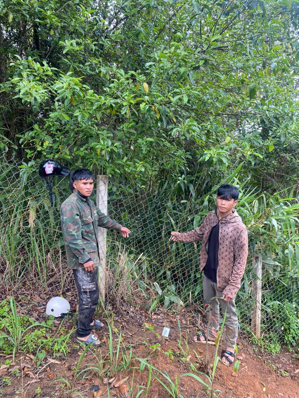 Kon Tum: Khen thưởng tập thể và cá nhân đã có thành tích bắt đối tượng trộm sâm Ngọc Linh