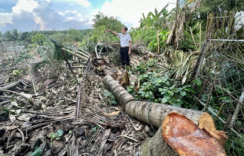 Đồng Nai: Cần xử lý nghiêm hành vi huỷ hoại tài sản, hành hung, đe dọa một gia đình ở thị trấn Vĩnh An