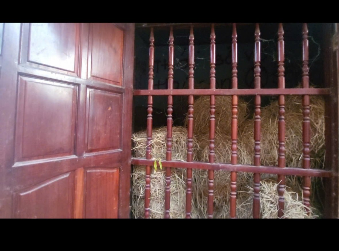 Đồng Nai: Cần xử lý nghiêm hành vi huỷ hoại tài sản, hành hung, đe dọa một gia đình ở thị trấn Vĩnh An