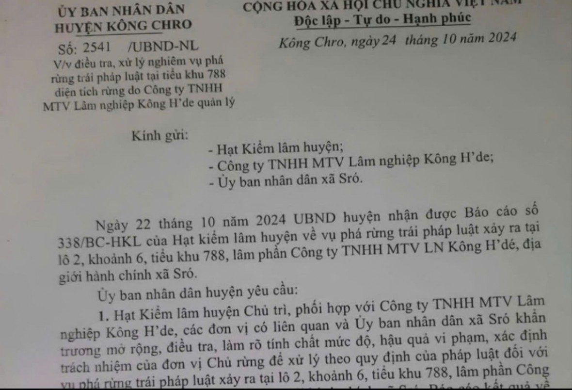 Gia Lai: Chuyển cơ quan điều tra làm rõ vụ phá rừng trái phép tại huyện Kông Chro