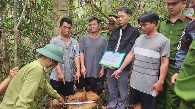 Lâm Đồng: Nhân viên quản lý bảo vệ rừng cùng "lâm tặc" phá rừng