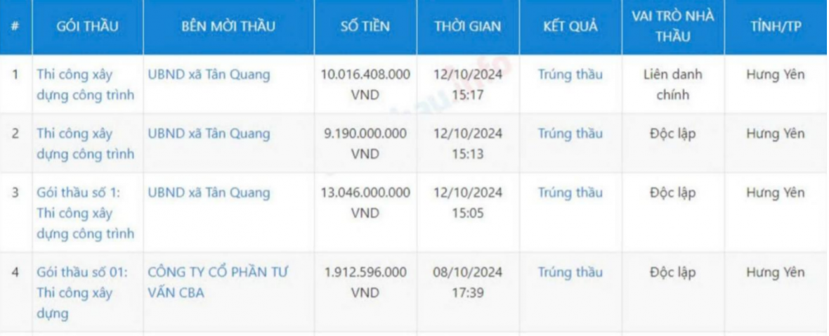 Trúng thầu nhiều dự án, năng lực của Công ty TNHH Nội thất và Xây dựng Trọng Tín ra sao?