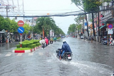 Bạc Liêu: Triển khai các giải pháp ứng phó với triều cường