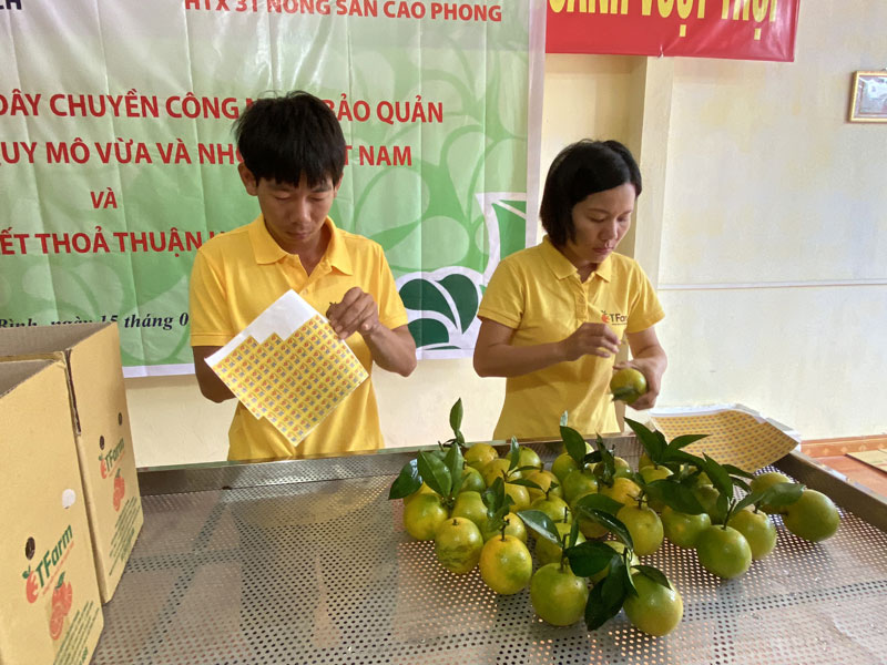 Cục An toàn thực phẩm hướng dẫn phân loại sản phẩm tự công bố, đăng ký bản công bố