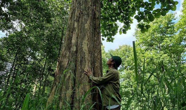 rung gia ty dong nai di san co thu giua long hien dai