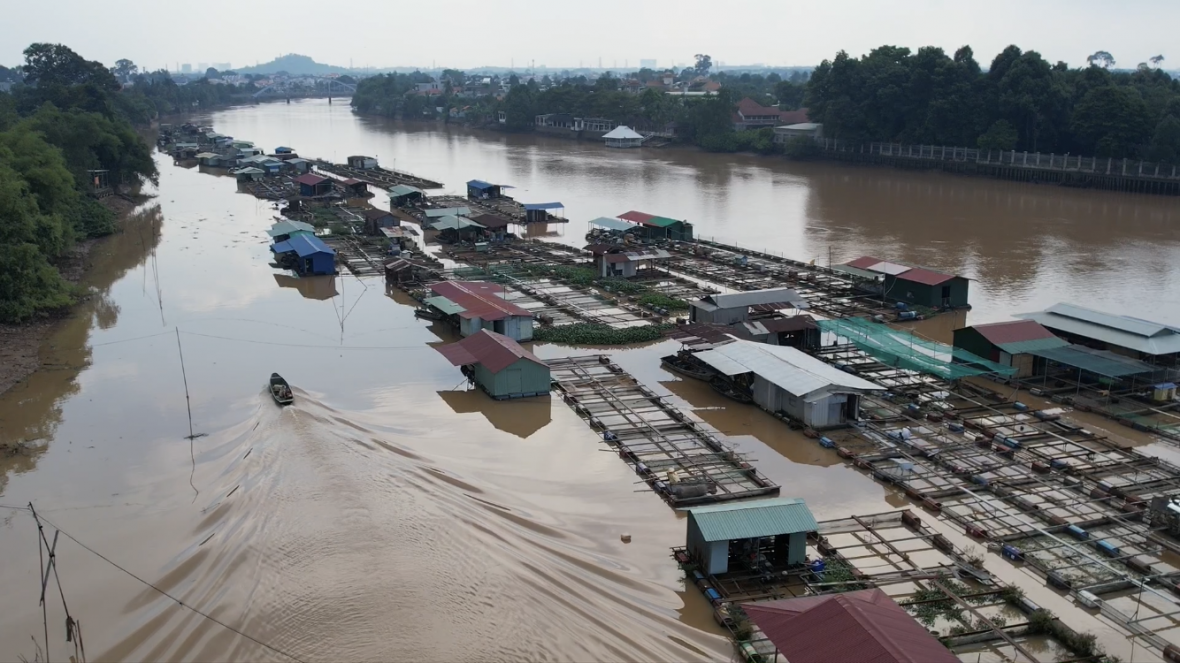 Dòng sông Cái, với tất cả ký ức và nỗi nhọc nhằn, vẫn chảy qua cuộc đời của ông bà Kiều Công Biên. Giữa khó khăn chồng chất, tình yêu và sự gắn bó với dòng sông vẫn là nguồn động lực lớn lao giúp gia đình họ vượt qua từng ngày.