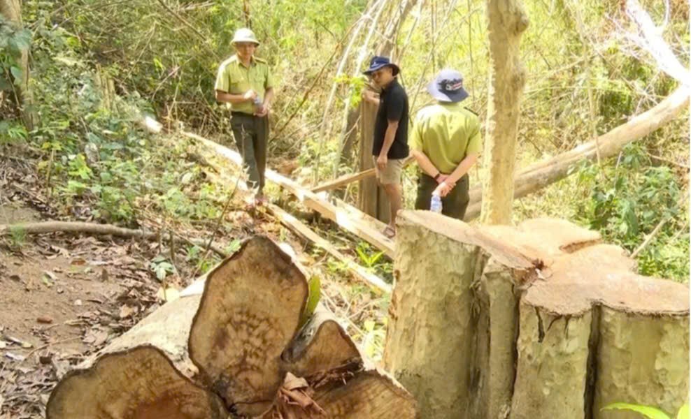 Thanh tra tỉnh Gia Lai phát hiện 84 đơn vị sai phạm về tài chính hơn 29 tỷ đồng