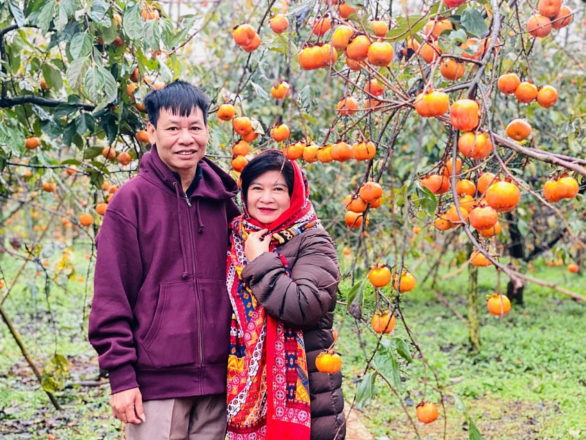 Chìm đắm trong không gian trắng toát của hoa Mận, vàng cam của những vườn Hồng tại Mộc Châu