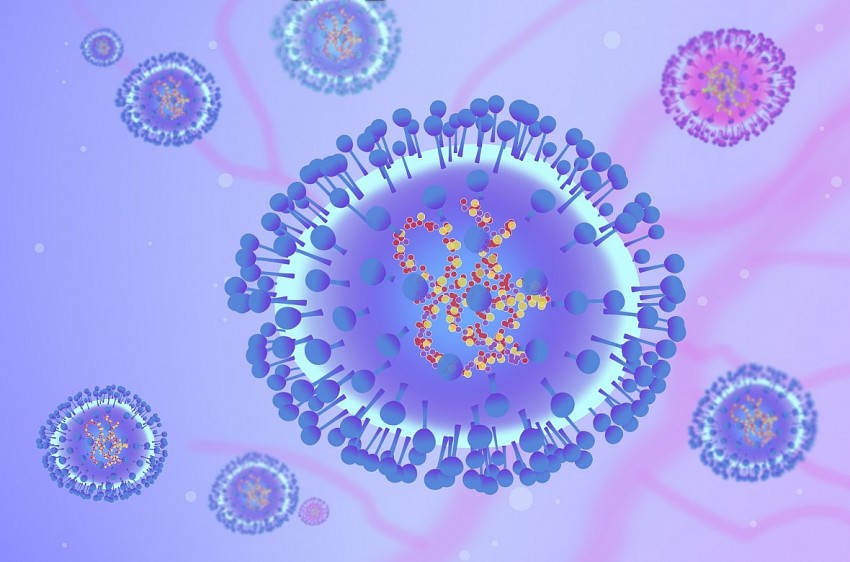 Human metapneumovirus (HMPV) là một căn bệnh về đường hô hấp gây ra các triệu chứng giống cúm hoặc cảm lạnh