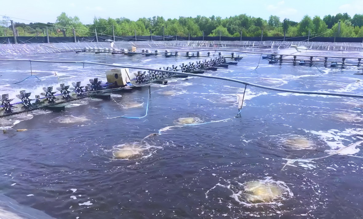 Huyện Đầm Dơi “bứt phá”, hoàn thành vượt chỉ tiêu về kinh tế - xã hội