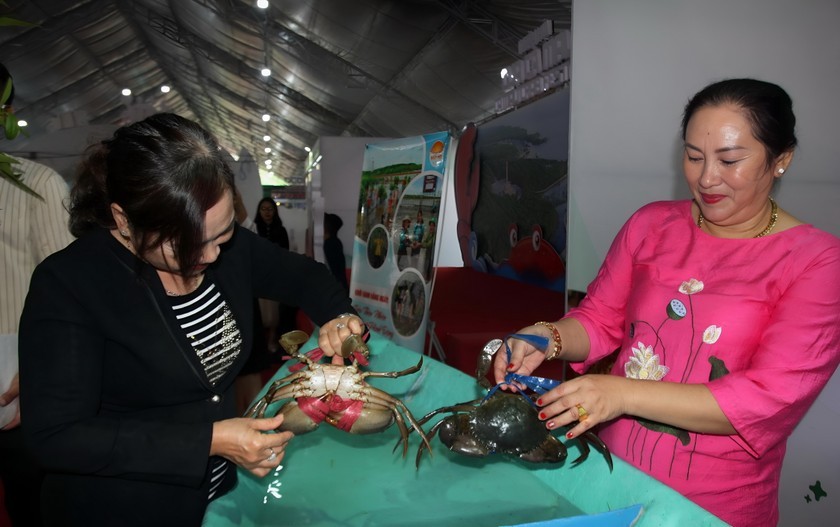 Nhu cầu mặt hàng cua sống tăng mạnh dịp cận Tết