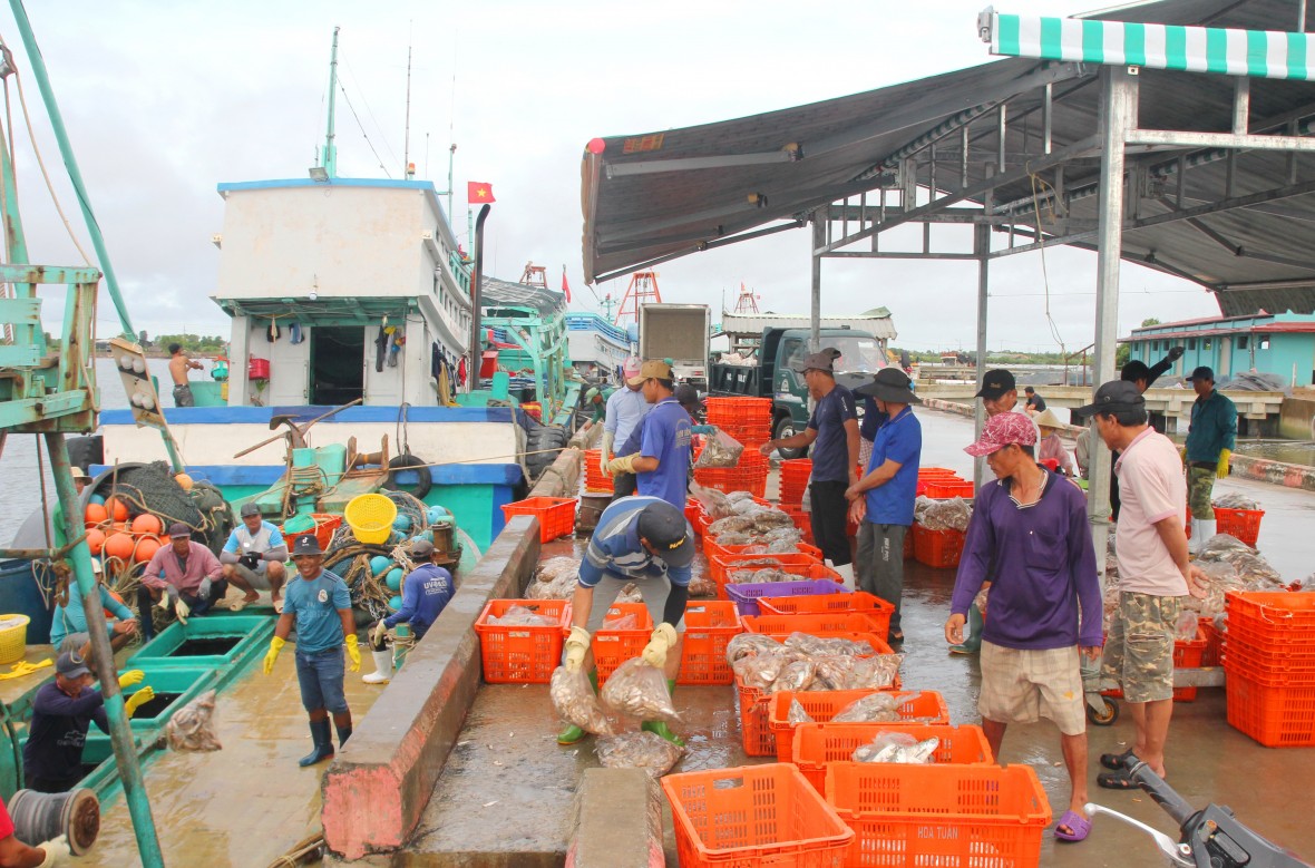 Xây dựng Đông Hải trở thành huyện trọng điểm về kinh tế biển của Bạc Liêu