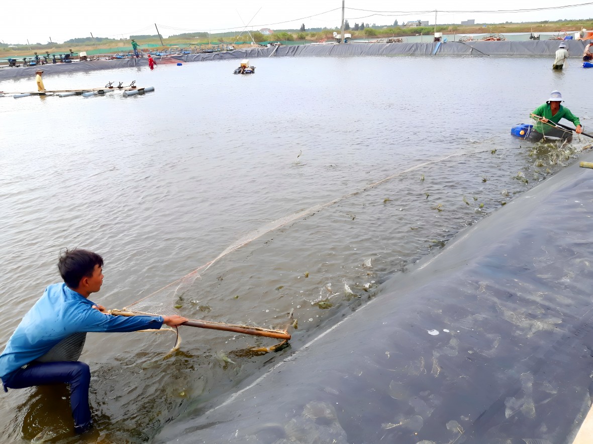 Xây dựng Đông Hải trở thành huyện trọng điểm về kinh tế biển của Bạc Liêu