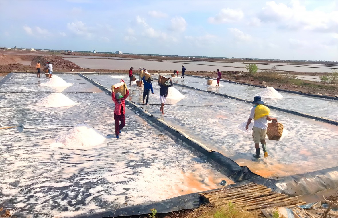Xây dựng Đông Hải trở thành huyện trọng điểm về kinh tế biển của Bạc Liêu