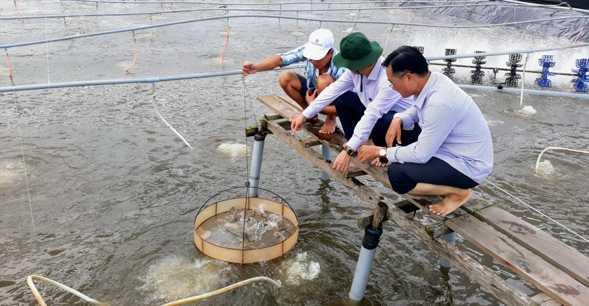 Kinh tế nông nghiệp Bạc Liêu làm chủ lực trong định hướng phát triển