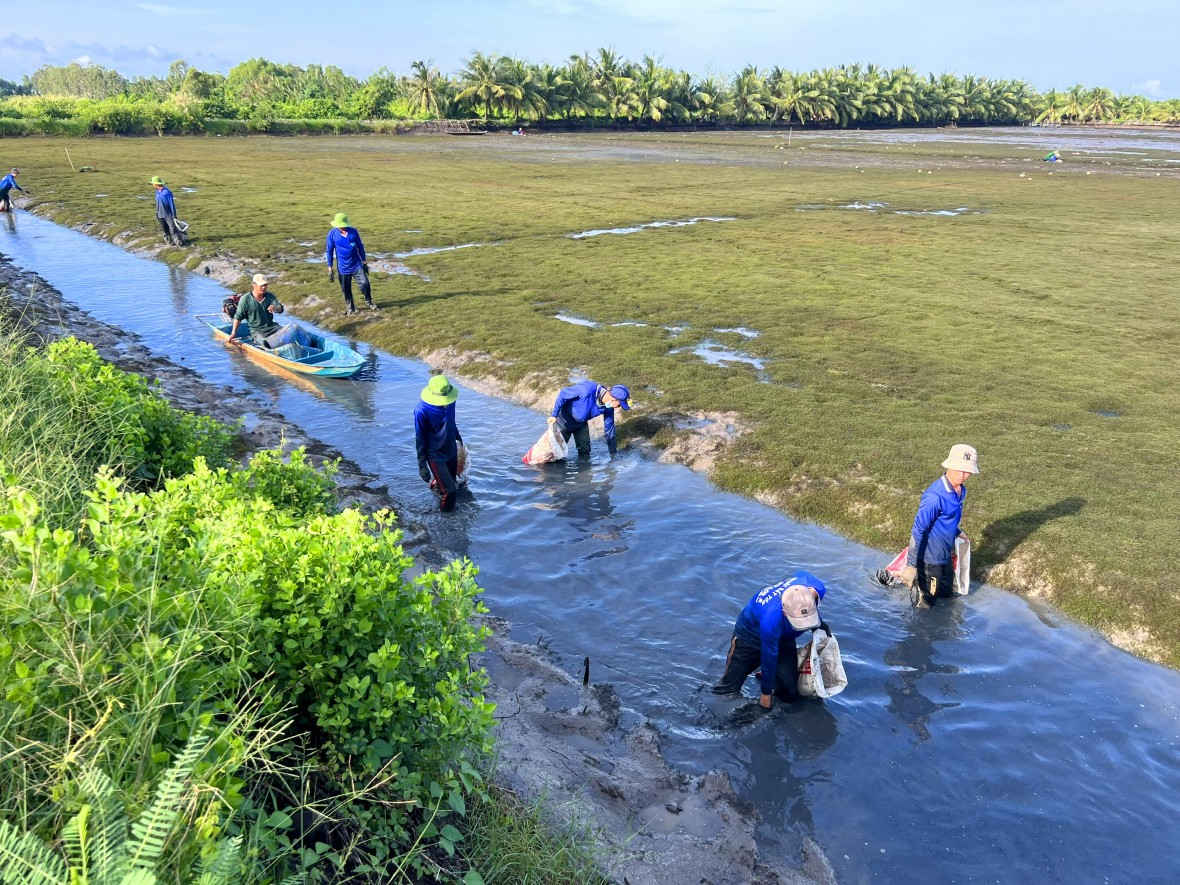 Kinh tế nông nghiệp Bạc Liêu làm chủ lực trong định hướng phát triển
