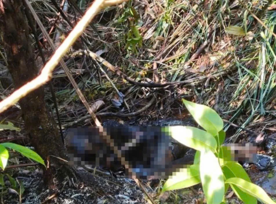 Lâm Đồng: Phát hiện thi thể cháy đen trong rừng