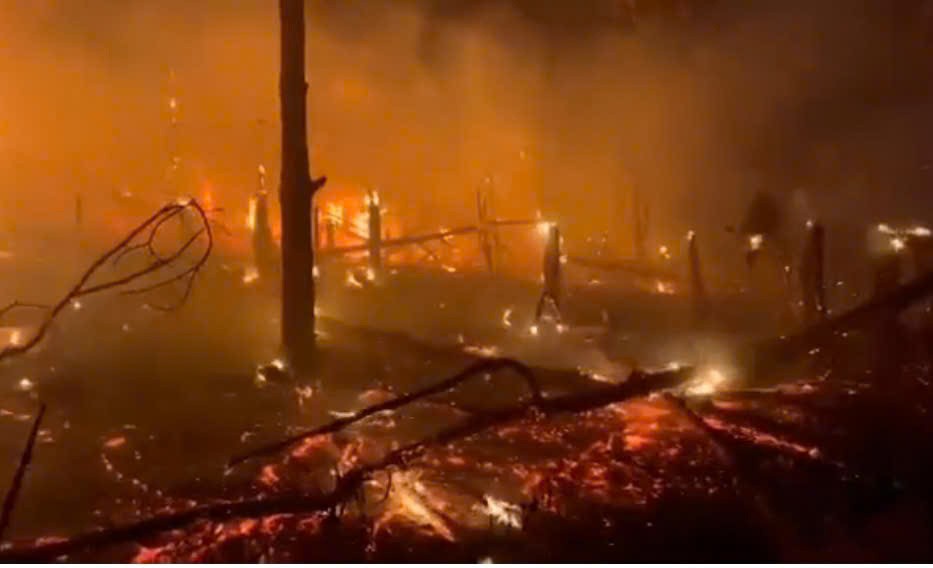 Quảng Ninh: Liên tiếp xảy ra 2 vụ cháy rừng trong ngày giáp Tết