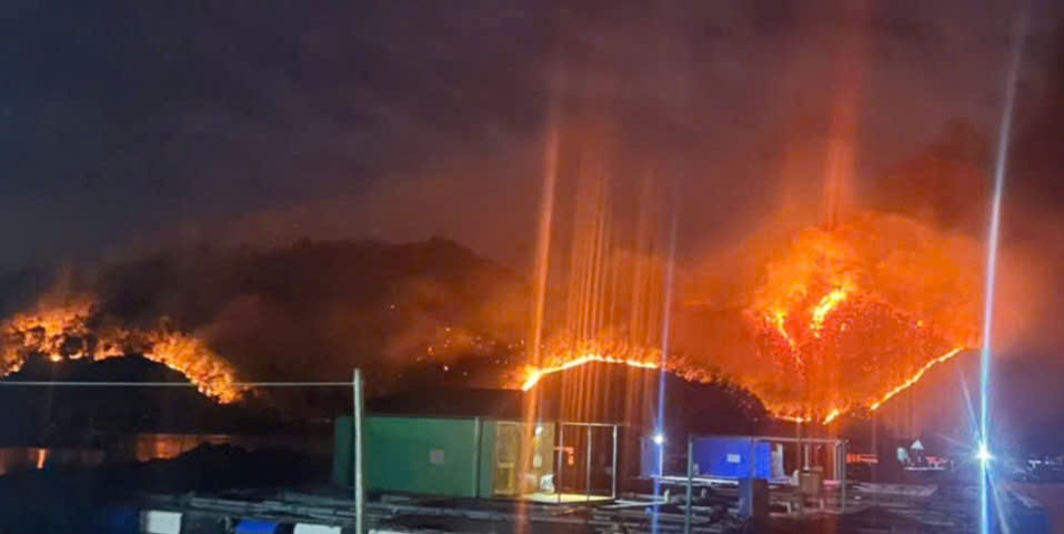 Quảng Ninh: Liên tiếp xảy ra 2 vụ cháy rừng trong ngày giáp Tết