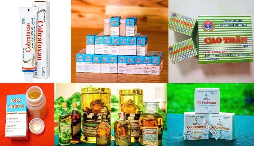 Xuân Ất Tỵ, về thăm Trại rắn Đồng Tâm - Khu du lich sinh thái khoa học độc đáo