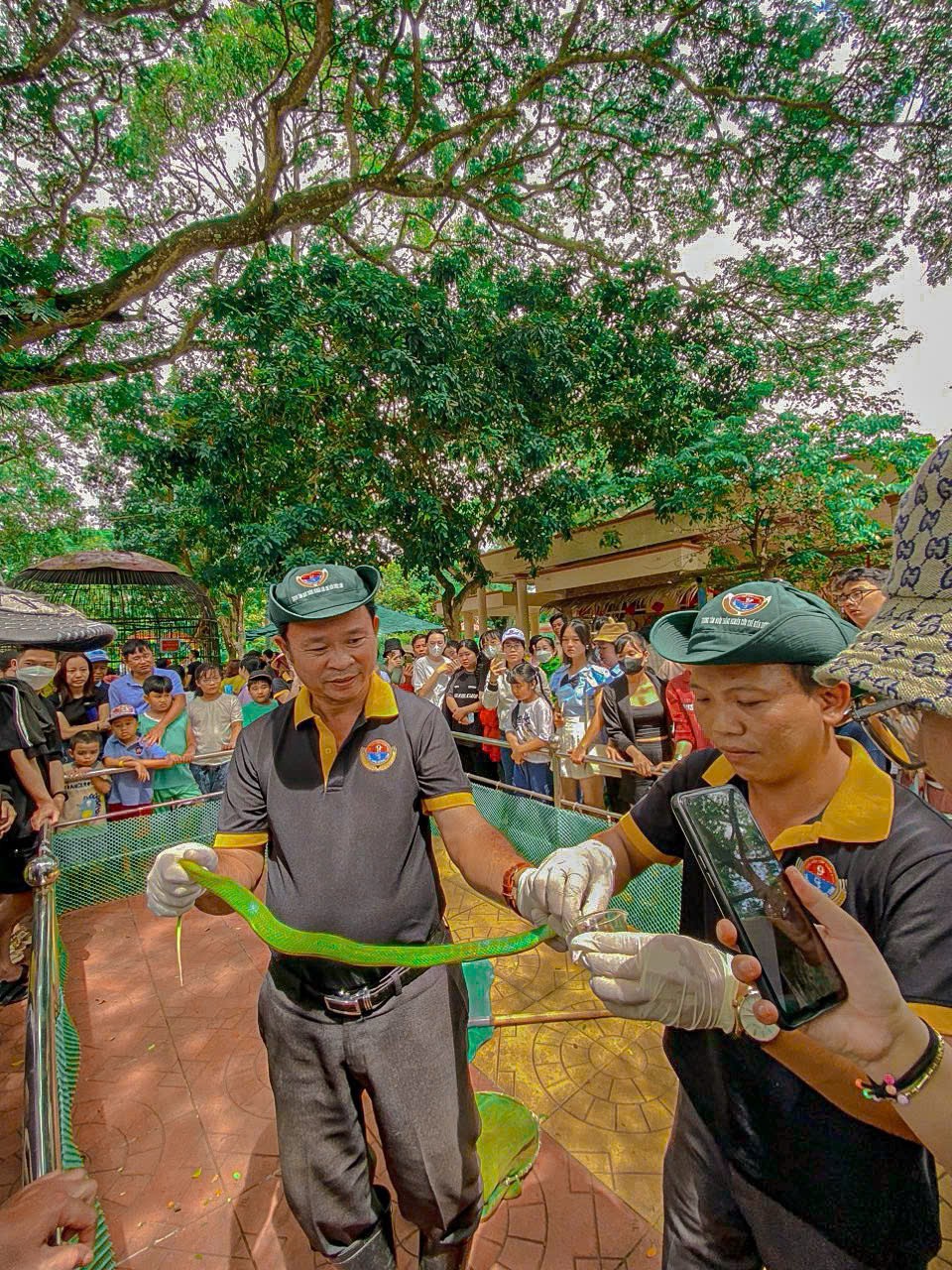 Xuân Ất Tỵ, về thăm Trại rắn Đồng Tâm - Khu du lich sinh thái khoa học độc đáo