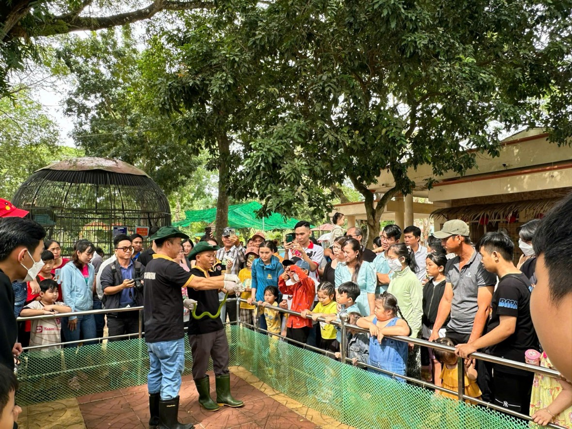 Xuân Ất Tỵ, về thăm Trại rắn Đồng Tâm - Khu du lich sinh thái khoa học độc đáo