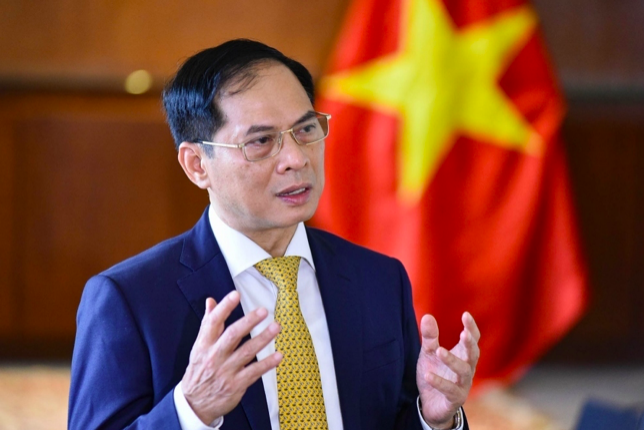 Ủy viên Trung ương Đảng, Phó Thủ tướng Chính phủ, Bộ trưởng Bộ Ngoại giao Bùi Thanh Sơn. Ảnh: VGP