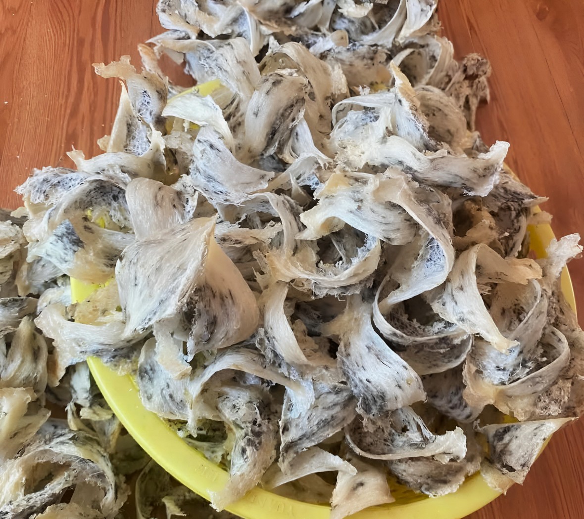 Đẩy mạnh phát triển bền vững nghề nuôi chim yến tại Bạc Liêu