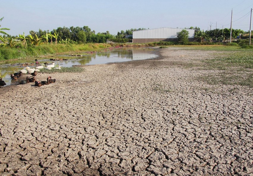 Thủ tướng yêu cầu các bộ, ngành, địa phương chủ động ứng phó đợt xâm nhập mặn cao điểm. (Ảnh minh hoạ)