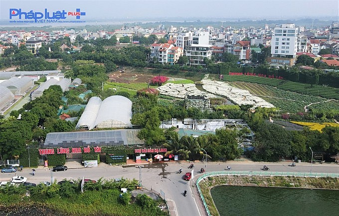 Giao 3.401m2 đất cho quận Tây Hồ để thực hiện dự án xây dựng vườn hoa, cây xanh