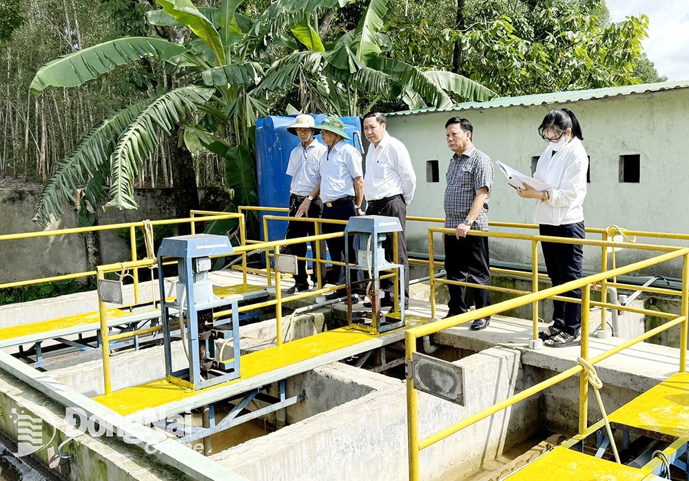 Ảnh minh họa. Nguồn: Báo Đồng Nai Ảnh minh họa. Nguồn: Báo Đồng Nai