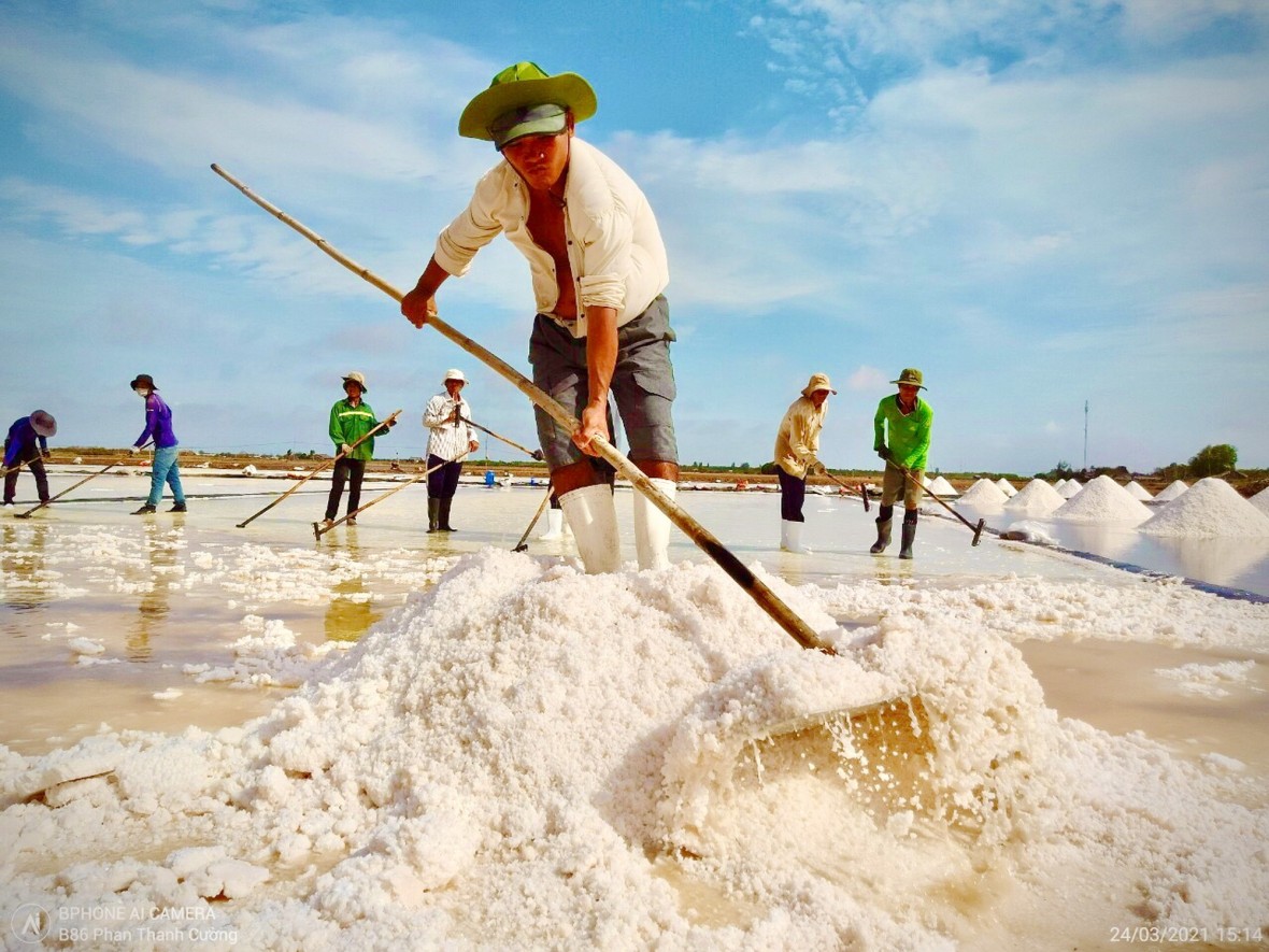 Cây đàn kìm cách điệu bằng muối ‘độc nhất vô nhị’ ở Bạc Liêu